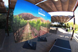 Video Wall