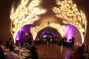 Vine Uplights in Cave